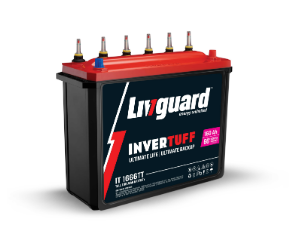 leading inverter battery supplier company